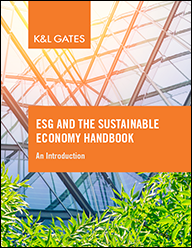 ESG and the Sustainable Economy Handbook
