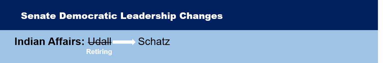 Senate Democratic Leadership Changes