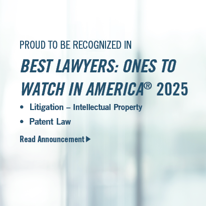 The Best Lawyers in America 2025 Ranking