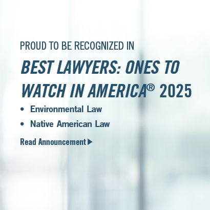 The Best Lawyers in America 2025 Ranking