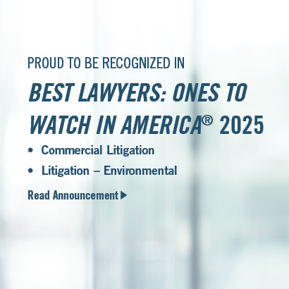 The Best Lawyers in America 2025 Ranking