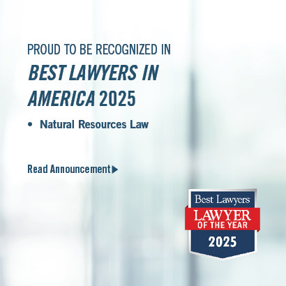 Best Lawyers Lawyer of the Year 2025 Ranking